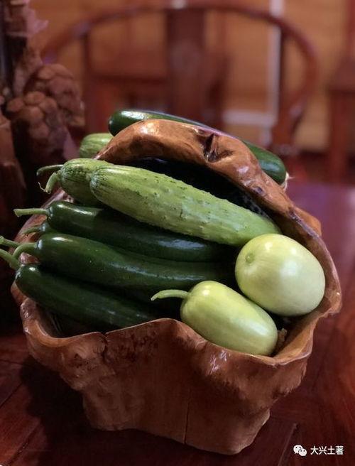 网红记录吃瓜,揭秘娱乐圈幕后故事